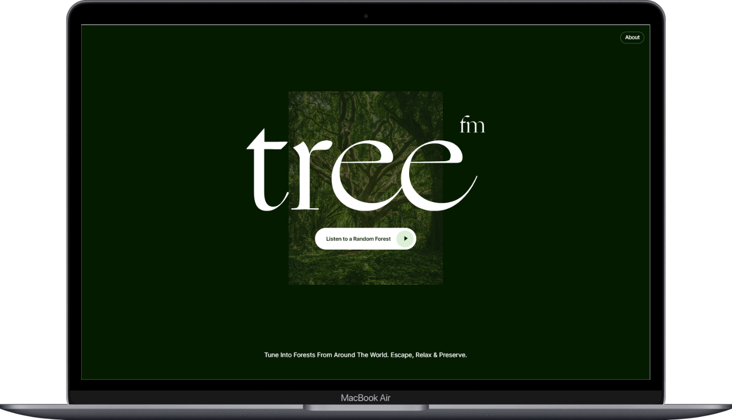 Tree.FM - 聆听来自世界各地的森林之音